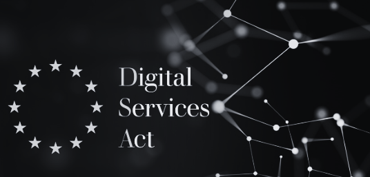 Intrarea în vigoare a Legii nr. 50/2024 pentru implementarea Regulamentului privind serviciile digitale
